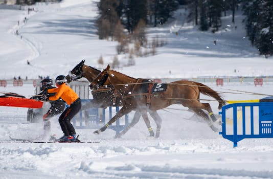 Kunstrijden vrije kür vrouwen olympische winterspelen 2026: live overzicht voor Uden