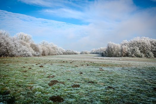 De vorst Uden: dit merken inwoners van De Vorst bij winterweer